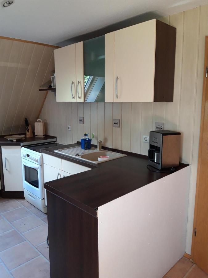 Ferienwohnung Auf Dem Land Rochlitz Exterior foto